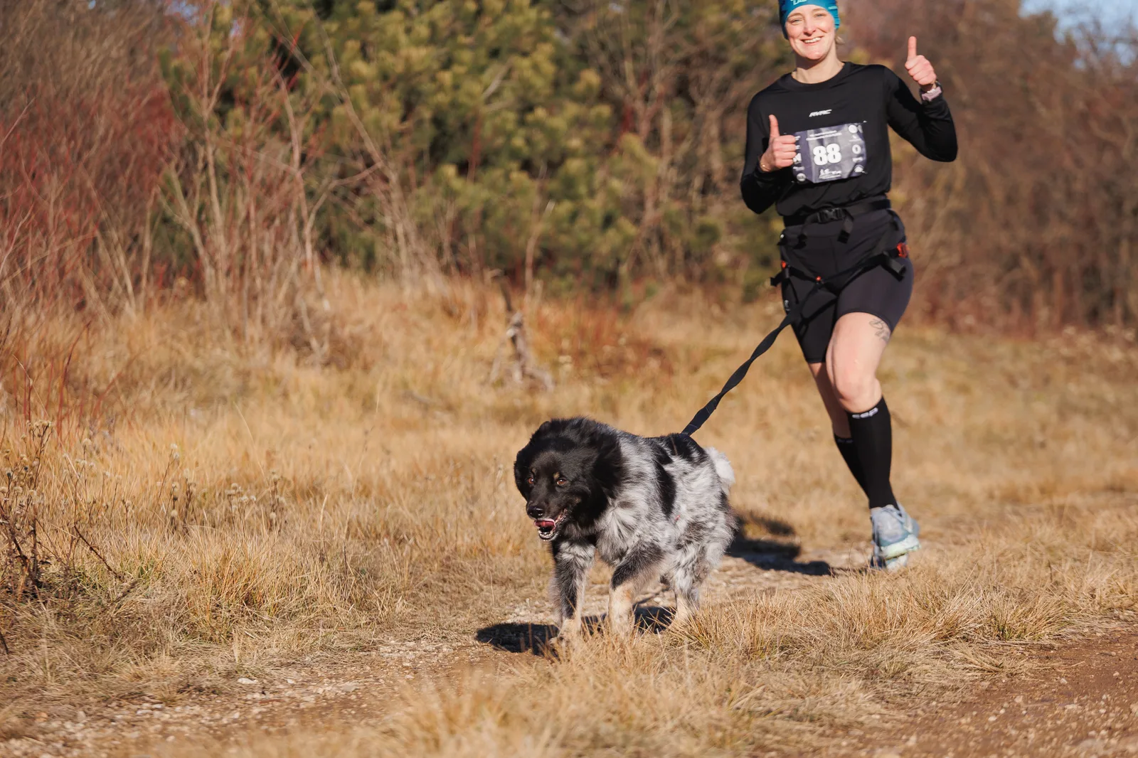 Canicross Lauftreff – Mensch-Hund-Team in Oberösterreich