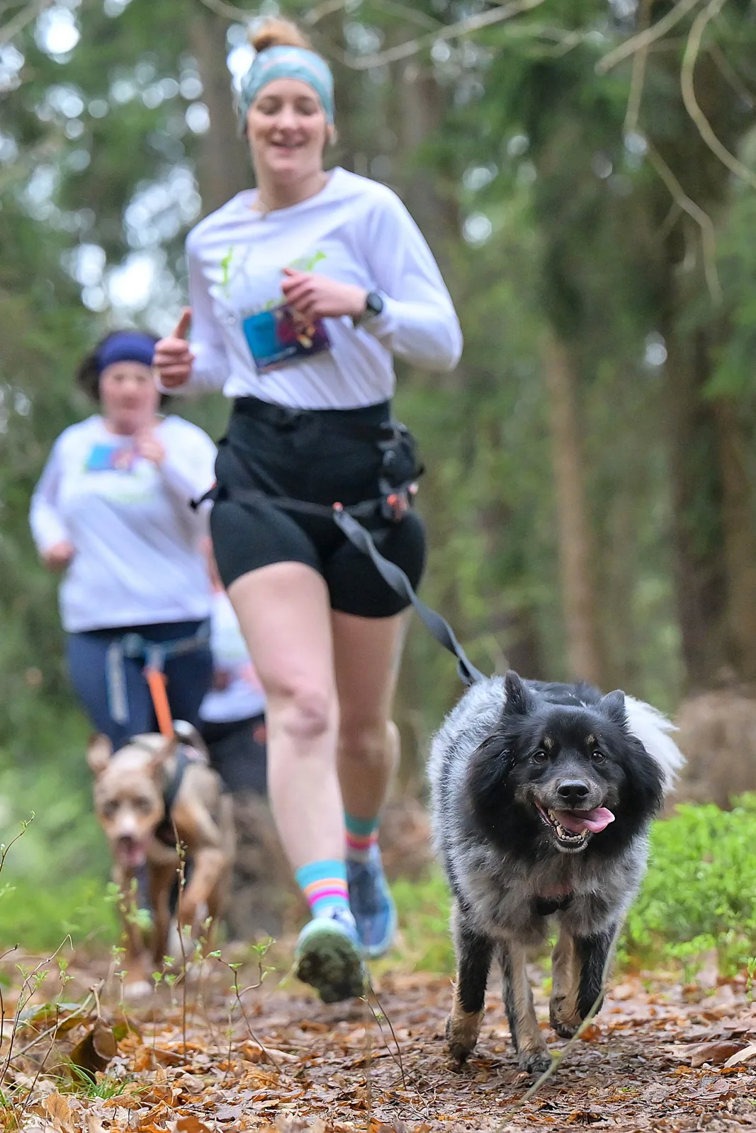 Canicross Lauftreff – Mensch-Hund-Team in Oberösterreich