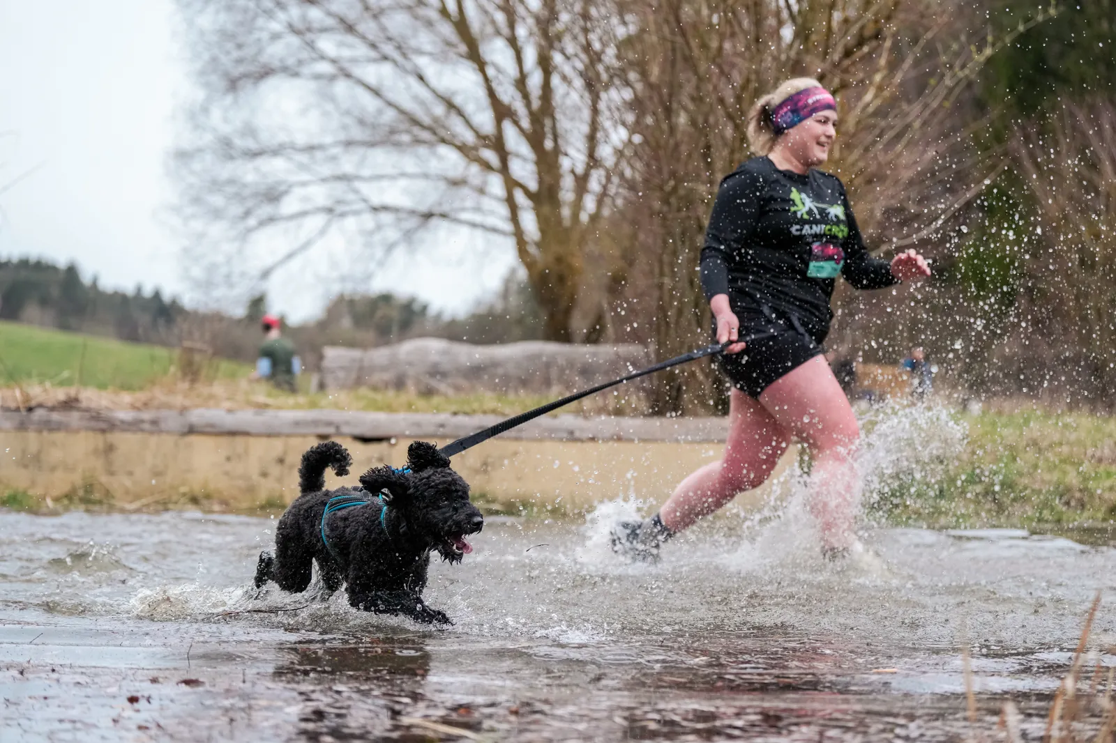Canicross Wasserlauf mit Hund – Spritzer beim Strongman-Lauf