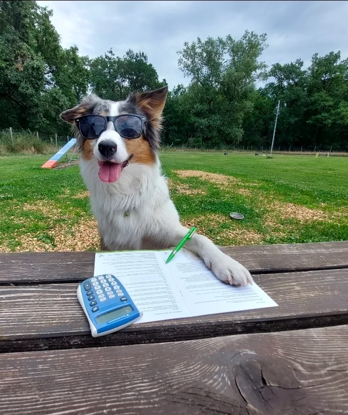 Hund mit Sonnenbrille studiert Trainingsbuch – Dogrelation Hunde-Wohlfühlzentrum in Enns
