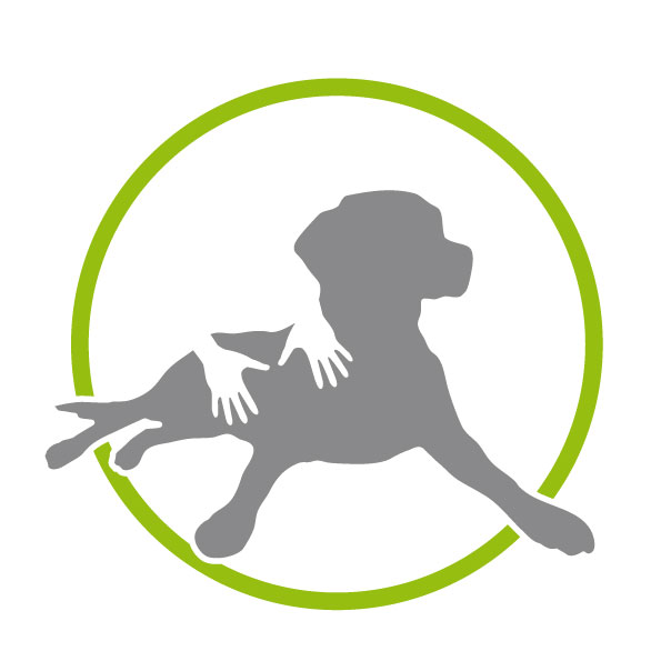 Hundemassage