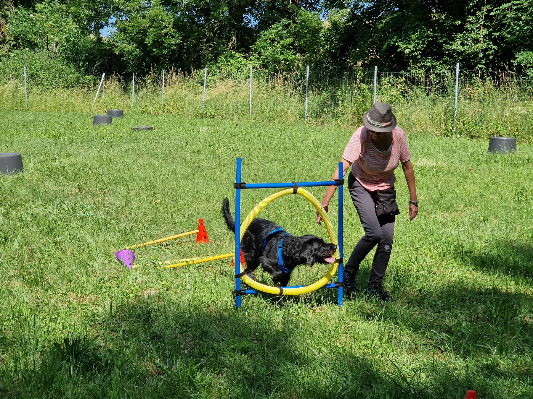 Trainerin mit schwarzem Hund beim Reifensprung – Dogrelation Hundeplatz Wolfern bei Steyr