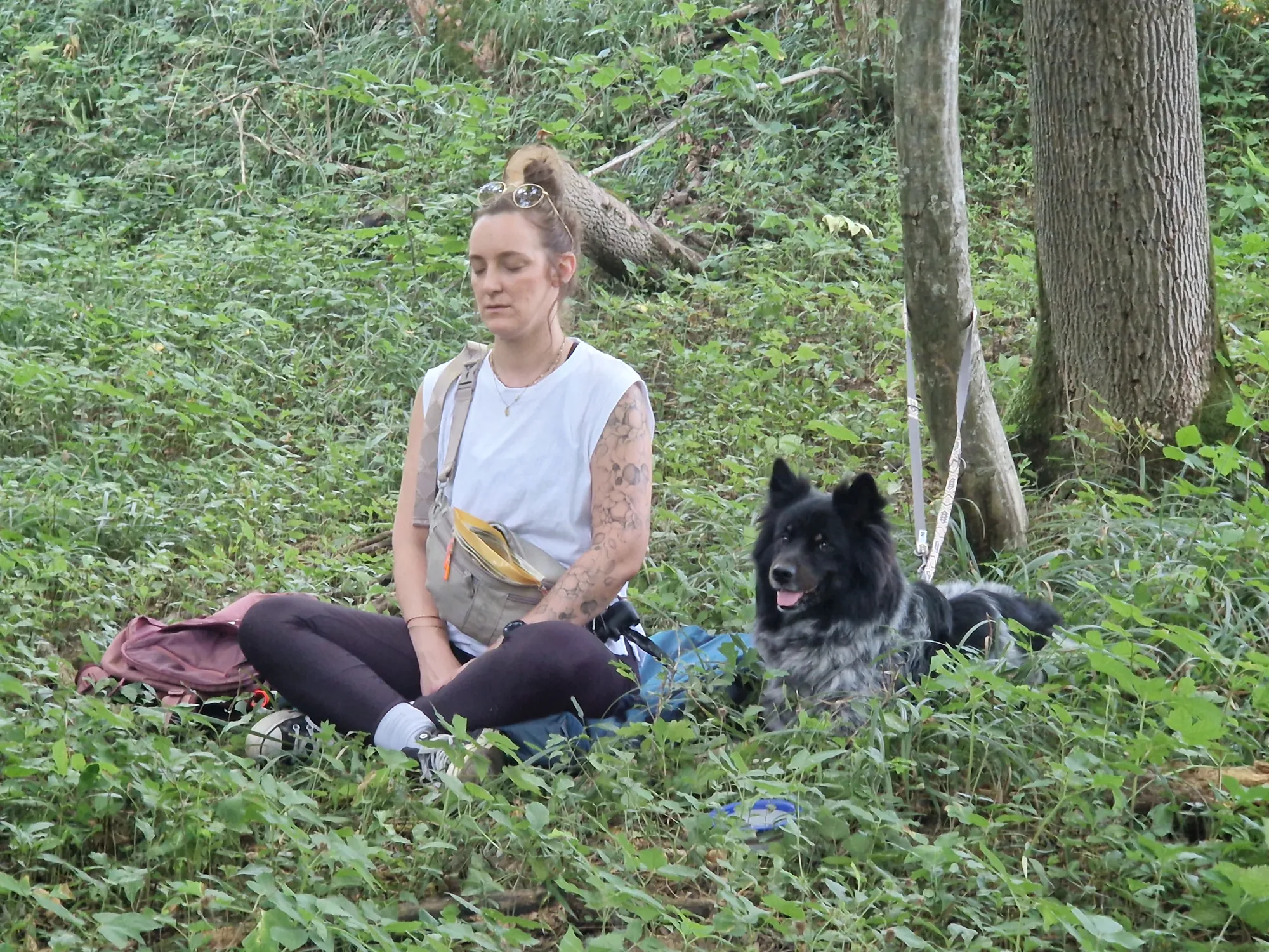 Frau meditiert ruhig mit schwarzem Hund im Wald – Beziehung statt Gehorsam bei Dogrelation Enns