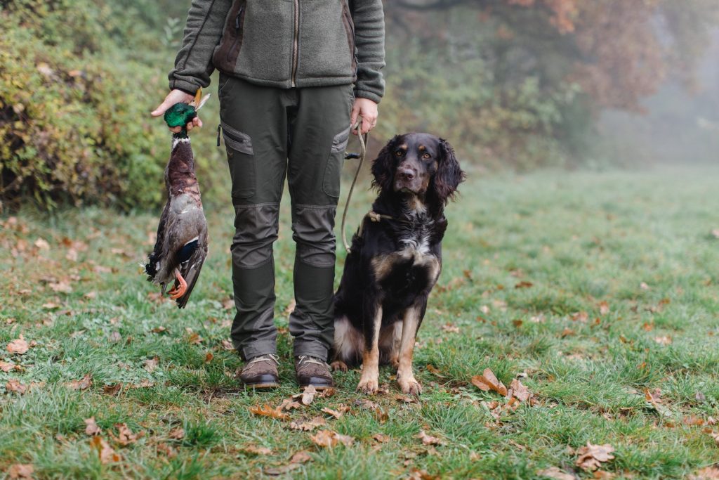 Outdoor Jagdhundausbildung in Oberösterreich