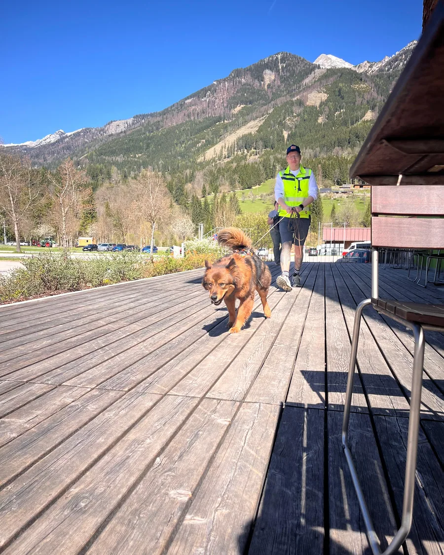 Konrad – Hundetrainer bei Dogrelation in Enns, Oberösterreich