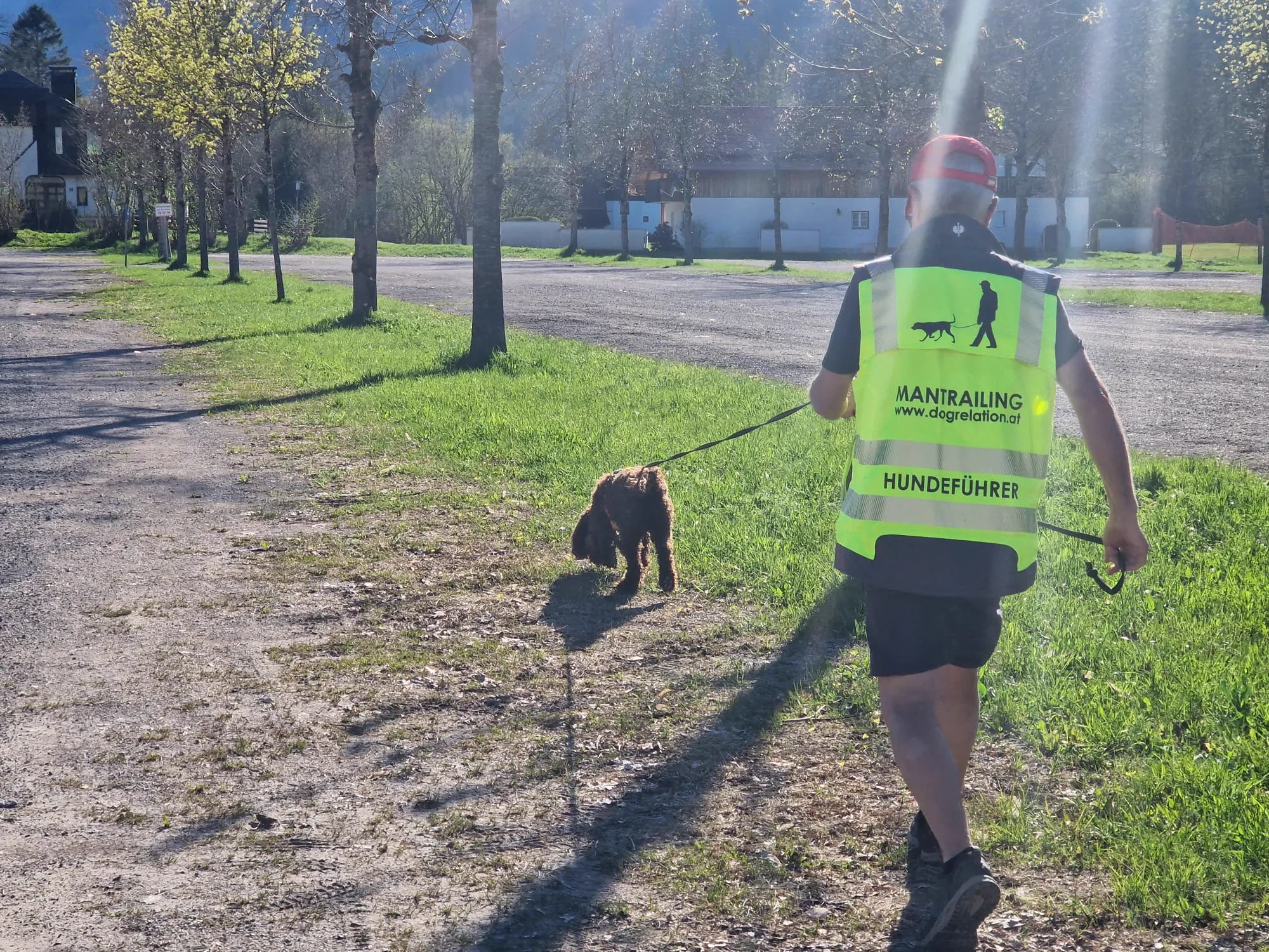 Mantrailing Hundeführer in Sicherheitsweste mit braunem Hund bei Spurensuche in der Allee – Dogrelation (Bild 17)