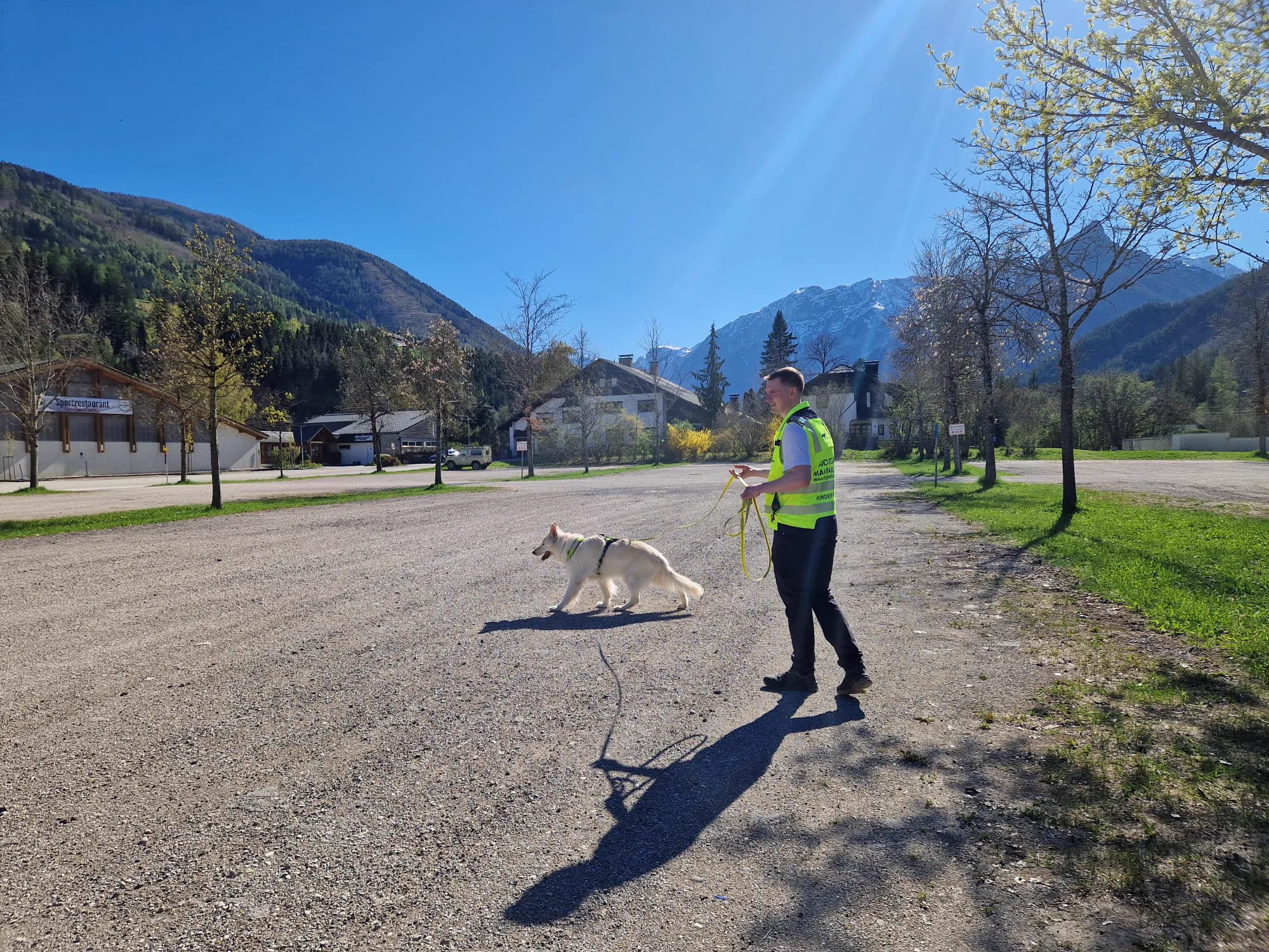 Mantrailing Spursuche mit weißem Husky – Hundeführer mit Sicherheitsweste in der Allee vor Bergen – Dogrelation (Bild 21)