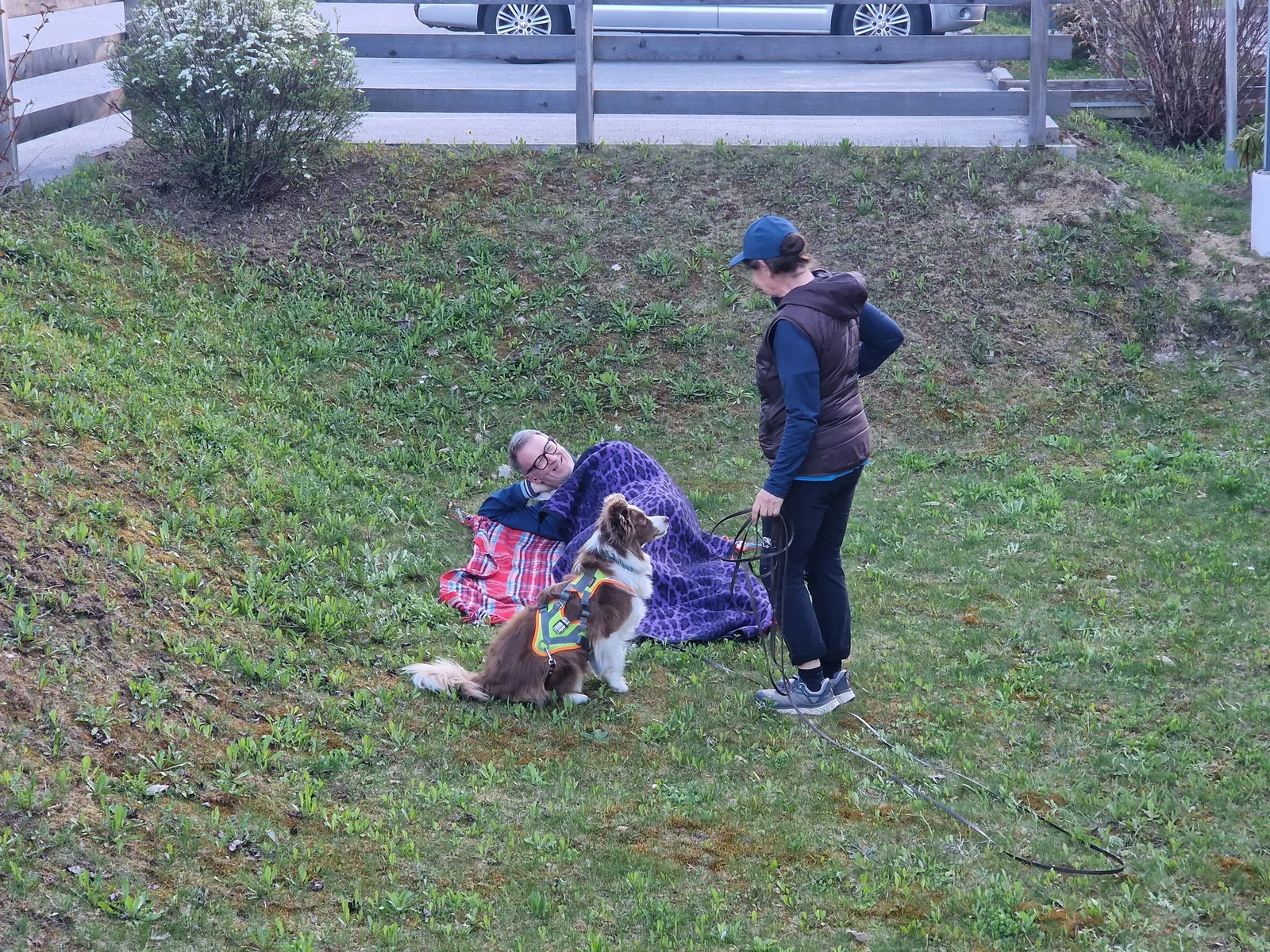 Mantrailing mit Hund – Nasenarbeit in Enns (Bild 1)