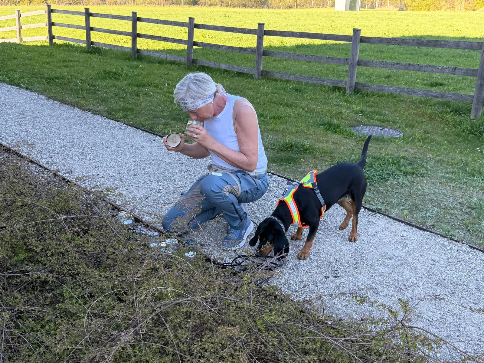 Mantrailing mit Hund – Nasenarbeit in Enns (Bild 9)