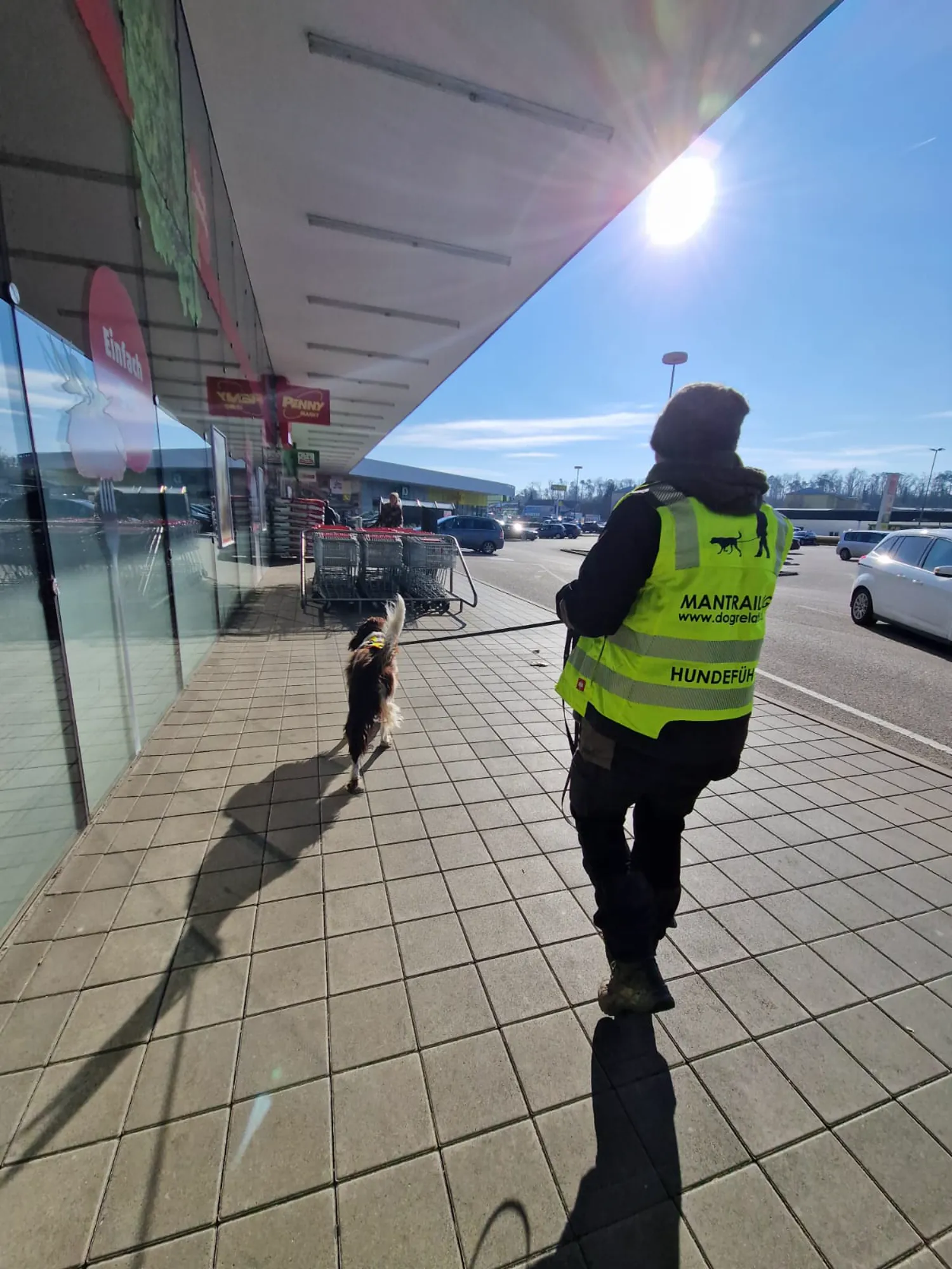 Mantrailing am Supermarkt – Urban Nasenarbeit in der Sonne – Dogrelation Enns (Bild 11)
