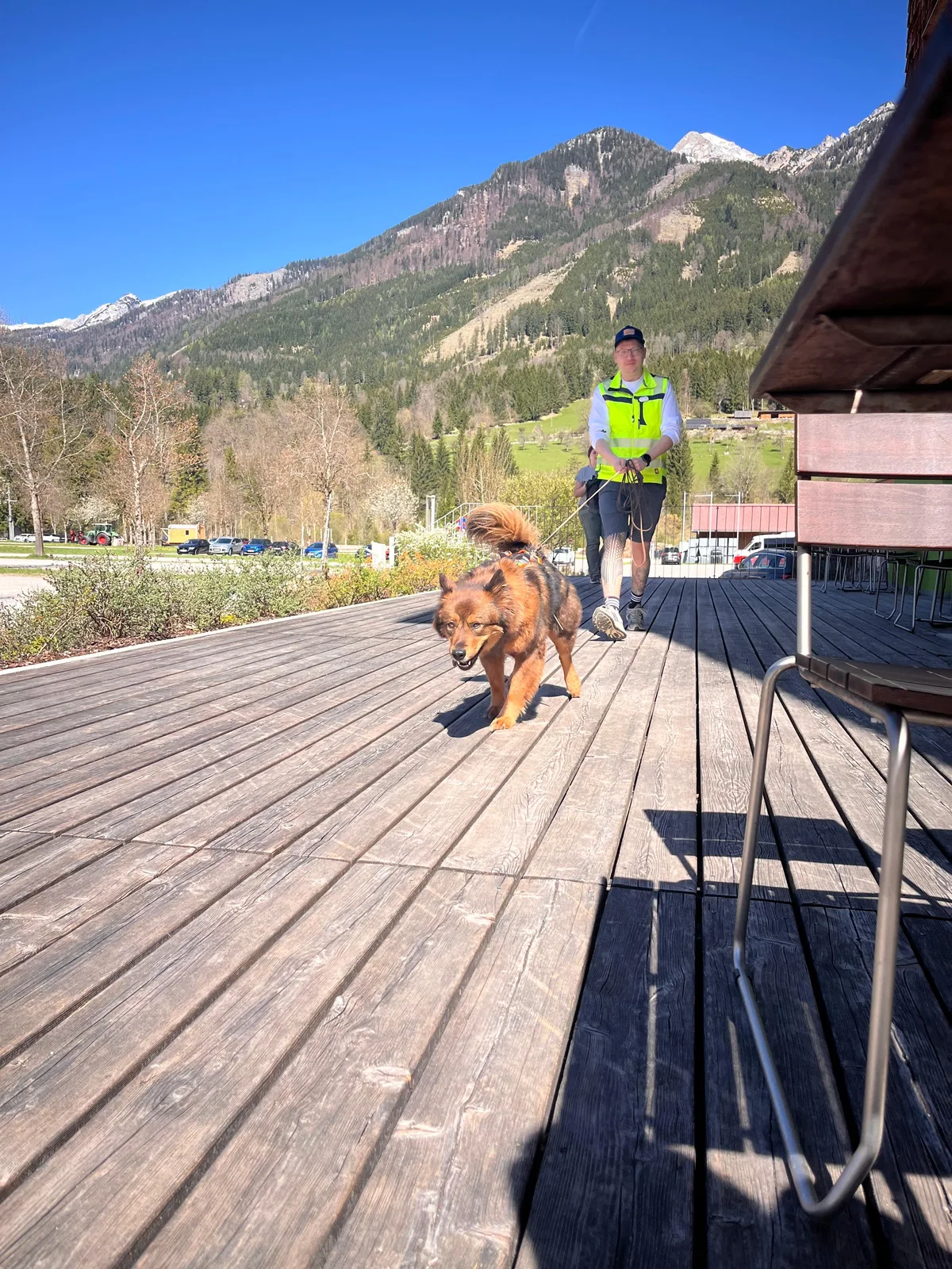 Mantrailing mit Hund – Nasenarbeit in Enns (Bild 4)