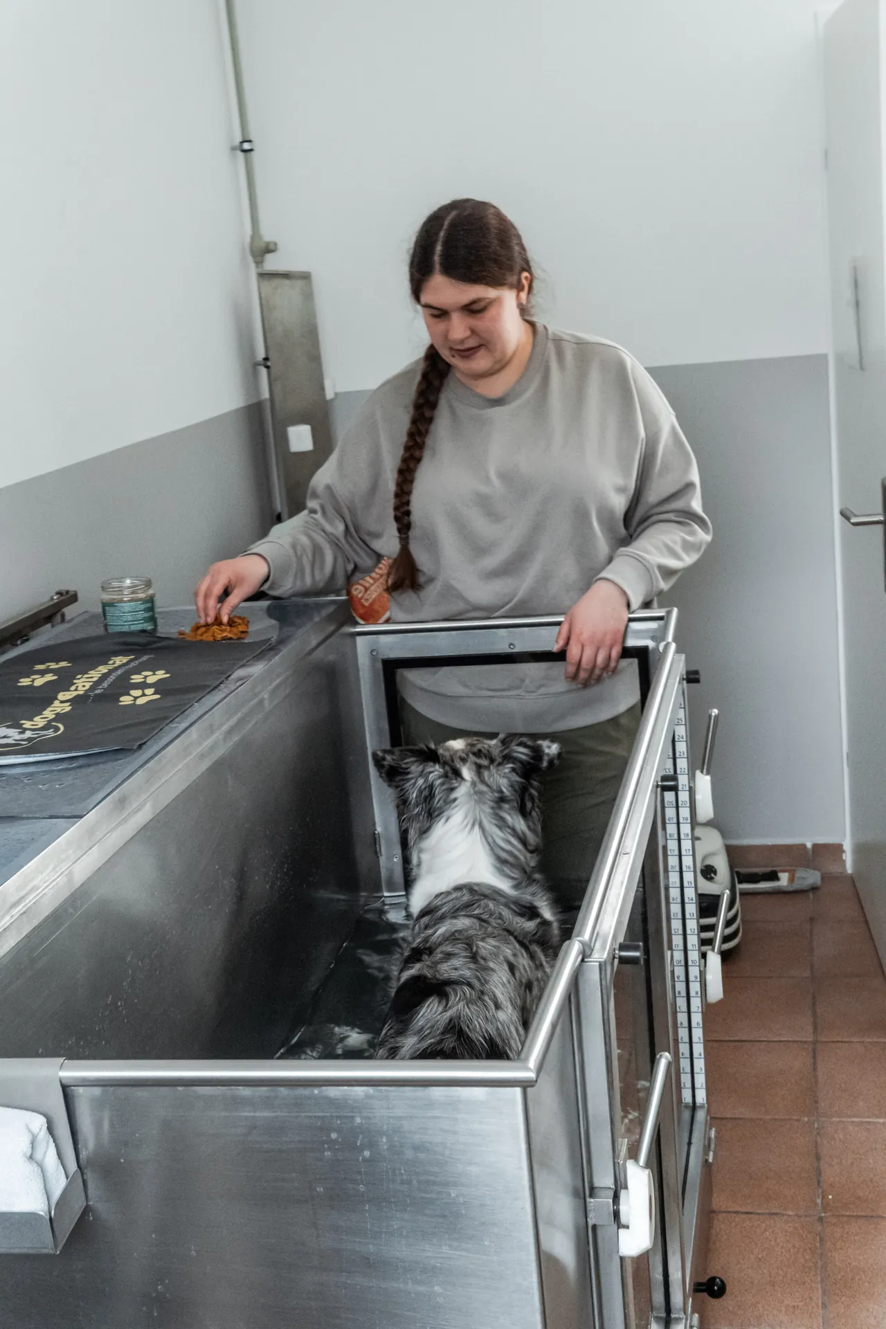 Trainerin reicht Hund Leckerli zur Vorbereitung im Unterwasserlaufband