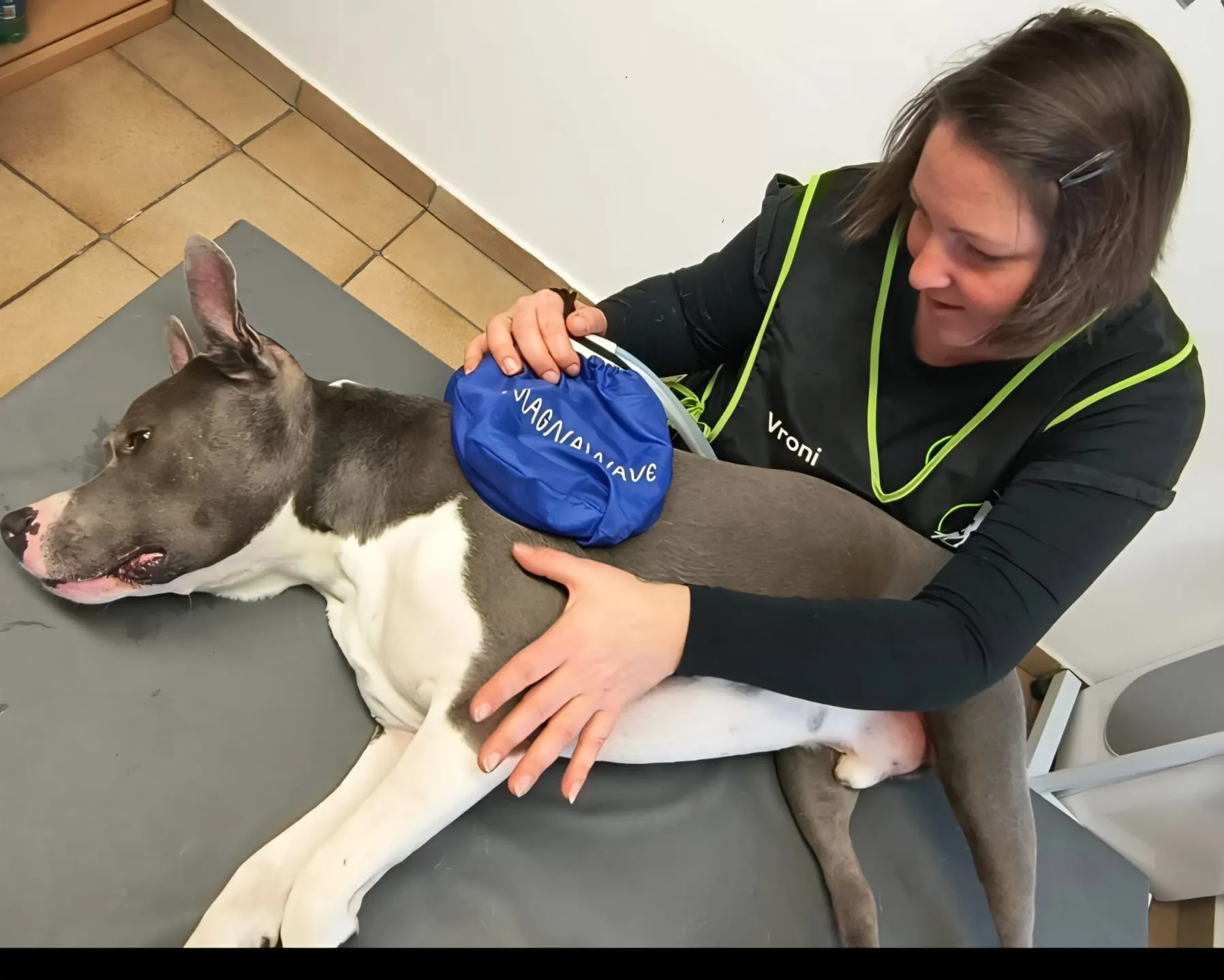 Vroni mit Hund während MagnaWave Magnetfeldtherapie im Dogrelation Wohlfühlzentrum in Enns